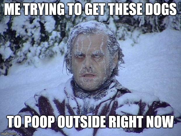 Jack Nicholson The Shining Snow Meme | ME TRYING TO GET THESE DOGS; TO POOP OUTSIDE RIGHT NOW | image tagged in memes,jack nicholson the shining snow | made w/ Imgflip meme maker