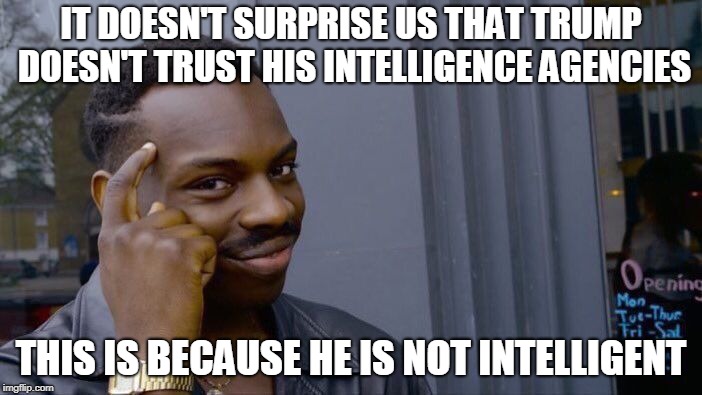 Roll Safe Think About It Meme | IT DOESN'T SURPRISE US THAT TRUMP DOESN'T TRUST HIS INTELLIGENCE AGENCIES; THIS IS BECAUSE HE IS NOT INTELLIGENT | image tagged in memes,roll safe think about it | made w/ Imgflip meme maker