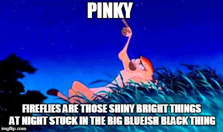 PINKY FIREFLIES ARE THOSE SHINY BRIGHT THINGS AT NIGHT STUCK IN THE BIG BLUEISH BLACK THING | made w/ Imgflip meme maker