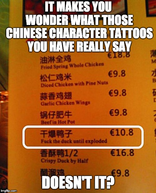 Chinese tattoos? | IT MAKES YOU WONDER WHAT THOSE CHINESE CHARACTER TATTOOS YOU HAVE REALLY SAY; DOESN'T IT? | image tagged in chinese translation fail - exploded duck | made w/ Imgflip meme maker
