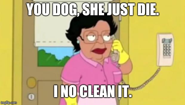 Consuela Family Guy | YOU DOG, SHE JUST DIE. I NO CLEAN IT. | image tagged in consuela family guy | made w/ Imgflip meme maker