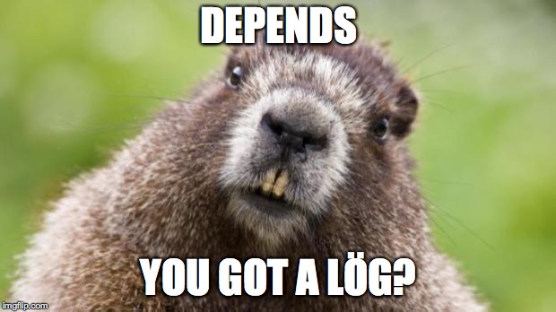 Mr Beaver | DEPENDS YOU GOT A LÖG? | image tagged in mr beaver | made w/ Imgflip meme maker