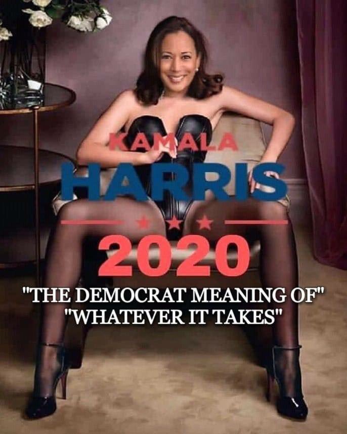 Kamala Harris 2020 Blank Meme Template