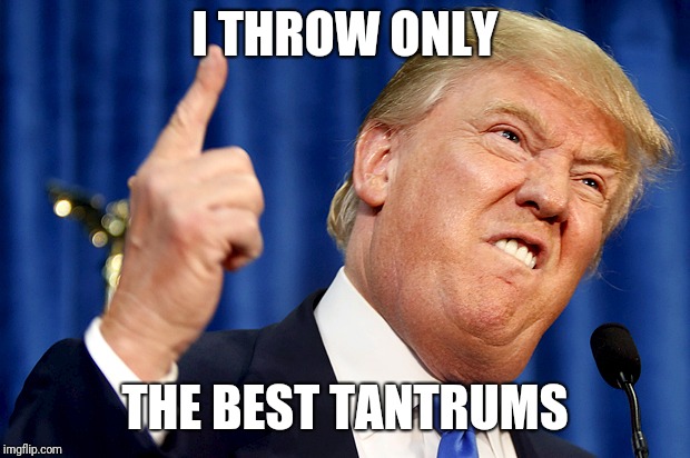 Donald Trump | I THROW ONLY; THE BEST TANTRUMS | image tagged in donald trump | made w/ Imgflip meme maker