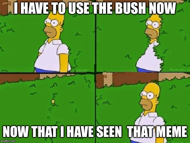 HOMER BUSH | I HAVE TO USE THE BUSH NOW NOW THAT I HAVE SEEN  THAT MEME | image tagged in homer bush | made w/ Imgflip meme maker