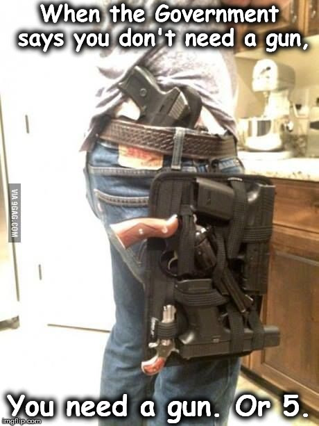 Overkill Guns | When the Government says you don't need a gun, You need a gun. Or 5. | image tagged in overkill guns | made w/ Imgflip meme maker