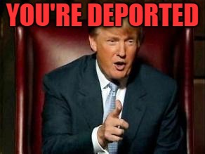 Donald Trump | YOU'RE DEPORTED | image tagged in donald trump | made w/ Imgflip meme maker