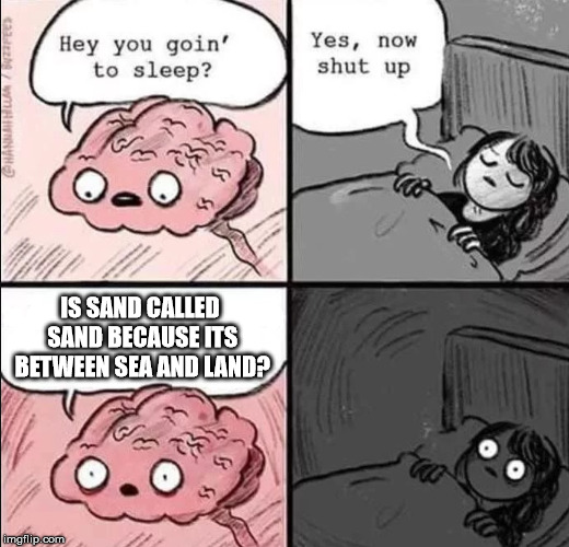 waking up brain | IS SAND CALLED SAND BECAUSE ITS BETWEEN SEA AND LAND? | image tagged in waking up brain | made w/ Imgflip meme maker