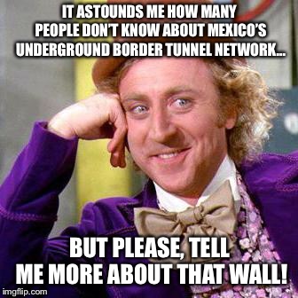 Willy Wonka Blank | IT ASTOUNDS ME HOW MANY PEOPLE DON’T KNOW ABOUT MEXICO’S UNDERGROUND BORDER TUNNEL NETWORK... BUT PLEASE, TELL ME MORE ABOUT THAT WALL! | image tagged in willy wonka blank | made w/ Imgflip meme maker