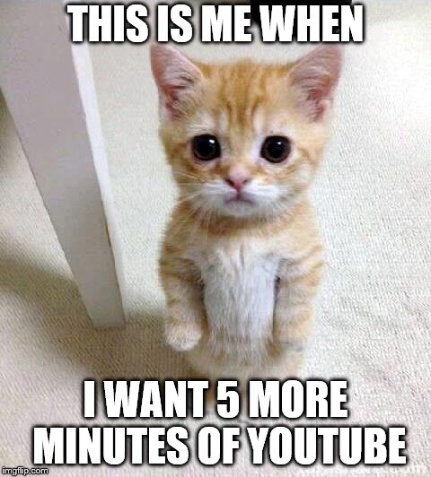 Cute Cat Meme | THIS IS ME WHEN; I WANT 5 MORE MINUTES OF YOUTUBE | image tagged in memes,cute cat | made w/ Imgflip meme maker