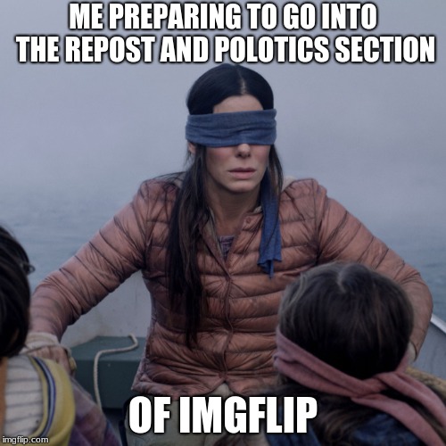Bird Box Meme | ME PREPARING TO GO INTO THE REPOST AND POLOTICS SECTION; OF IMGFLIP | image tagged in bird box | made w/ Imgflip meme maker