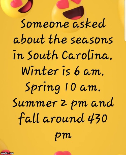 image tagged in seasons of south carolina | made w/ Imgflip meme maker