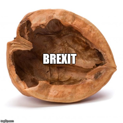 Nutshell | BREXIT | image tagged in nutshell | made w/ Imgflip meme maker