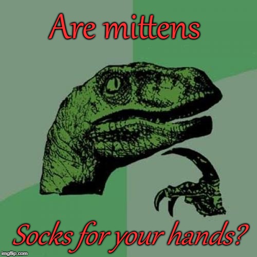 Philosoraptor Meme | Are mittens; Socks for your hands? | image tagged in memes,philosoraptor | made w/ Imgflip meme maker