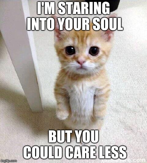 Cute Cat | I'M STARING INTO YOUR SOUL; BUT YOU COULD CARE LESS | image tagged in memes,cute cat | made w/ Imgflip meme maker