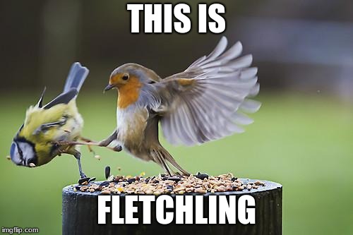 Bird Sparta | THIS IS; FLETCHLING | image tagged in bird sparta | made w/ Imgflip meme maker