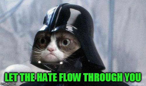 Grumpy Cat Star Wars Meme | LET THE HATE FLOW THROUGH YOU | image tagged in memes,grumpy cat star wars,grumpy cat | made w/ Imgflip meme maker