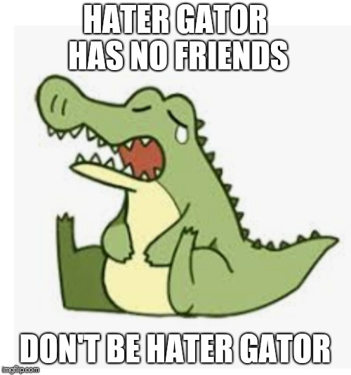 HATER GATOR HAS NO FRIENDS; DON'T BE HATER GATOR | image tagged in haters | made w/ Imgflip meme maker