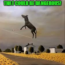 THAT COULD BE DANGEROUS! | image tagged in ass is on the line | made w/ Imgflip meme maker