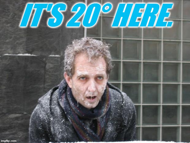 ice, freeze, cold | IT'S 20° HERE. | image tagged in ice freeze cold | made w/ Imgflip meme maker