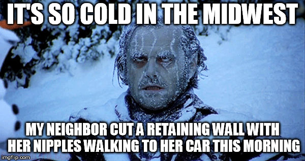 Freezing cold | IT'S SO COLD IN THE MIDWEST; MY NEIGHBOR CUT A RETAINING WALL WITH HER NIPPLES WALKING TO HER CAR THIS MORNING | image tagged in freezing cold | made w/ Imgflip meme maker