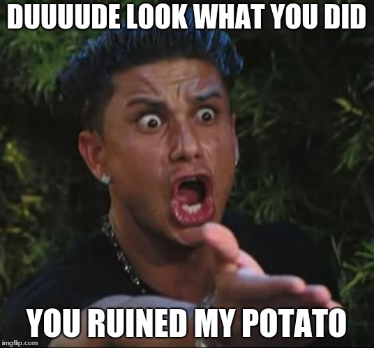 DJ Pauly D Meme | DUUUUDE LOOK WHAT YOU DID; YOU RUINED MY POTATO | image tagged in memes,dj pauly d | made w/ Imgflip meme maker