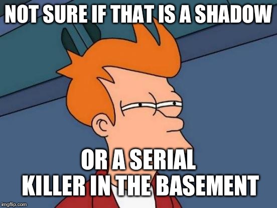 Futurama Fry | NOT SURE IF THAT IS A SHADOW; OR A SERIAL KILLER IN THE BASEMENT | image tagged in memes,futurama fry,beyondthecomments | made w/ Imgflip meme maker