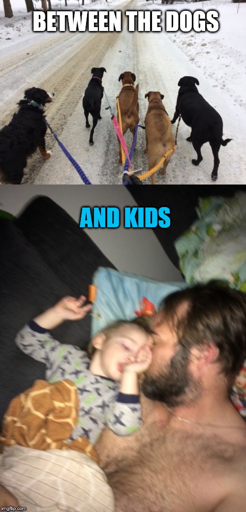 BETWEEN THE DOGS AND KIDS | made w/ Imgflip meme maker