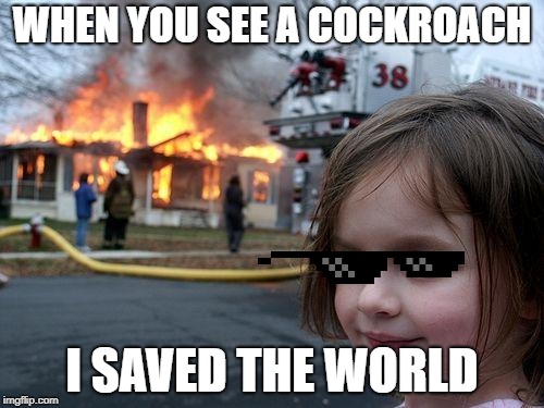 Disaster Girl | WHEN YOU SEE A COCKROACH; I SAVED THE WORLD | image tagged in memes,disaster girl | made w/ Imgflip meme maker