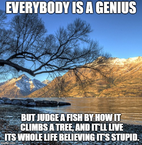 Everybody is a genius | EVERYBODY IS A GENIUS; BUT JUDGE A FISH BY HOW IT CLIMBS A TREE, AND IT'LL LIVE ITS WHOLE LIFE BELIEVING IT'S STUPID. | image tagged in life lessons,education,learning | made w/ Imgflip meme maker