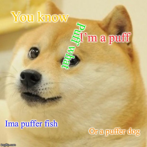 Doge Meme | You know; I’m a puff; Puff what; Ima puffer fish; Or a puffer dog | image tagged in memes,doge | made w/ Imgflip meme maker