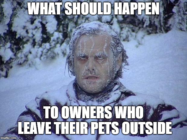 Not even kidding | WHAT SHOULD HAPPEN; TO OWNERS WHO LEAVE THEIR PETS OUTSIDE | image tagged in memes,jack nicholson the shining snow,cold weather | made w/ Imgflip meme maker