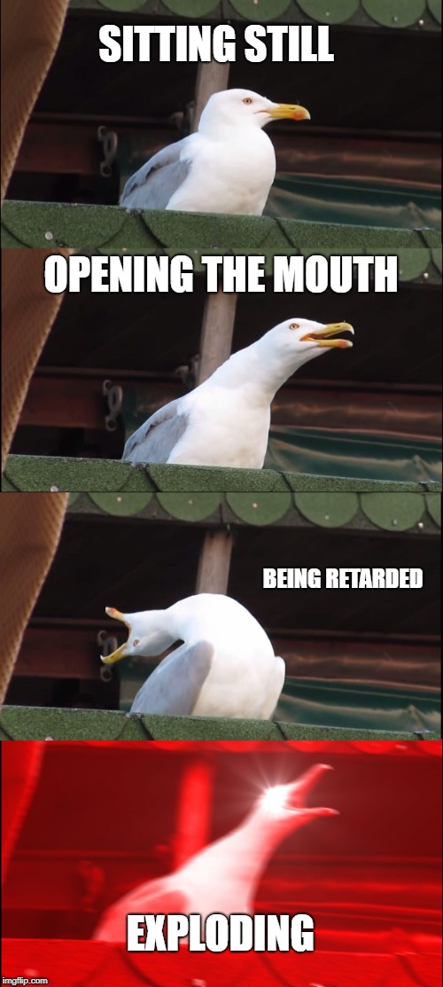 Inhaling Seagull Meme | SITTING STILL; OPENING THE MOUTH; BEING RETARDED; EXPLODING | image tagged in memes,inhaling seagull | made w/ Imgflip meme maker