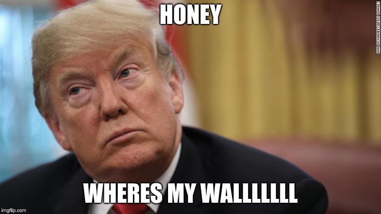 Trump | HONEY; WHERES MY WALLLLLLL | image tagged in build a wall | made w/ Imgflip meme maker