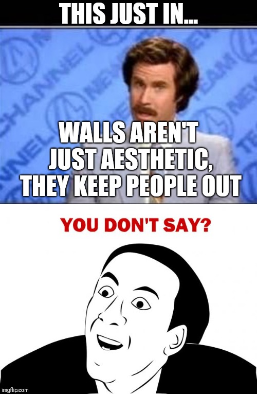 THIS JUST IN... WALLS AREN'T JUST AESTHETIC, THEY KEEP PEOPLE OUT | image tagged in memes,you don't say,will farrel | made w/ Imgflip meme maker