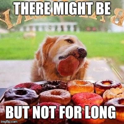 Dog Donuts | THERE MIGHT BE BUT NOT FOR LONG | image tagged in dog donuts | made w/ Imgflip meme maker