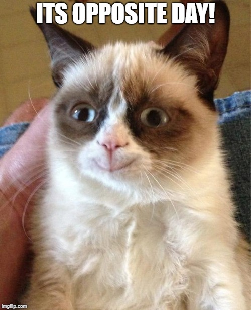 Grumpy Cat Happy | ITS OPPOSITE DAY! | image tagged in memes,grumpy cat happy,grumpy cat | made w/ Imgflip meme maker