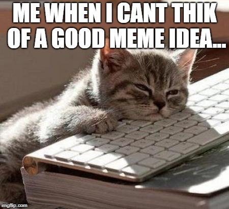 tired cat | ME WHEN I CANT THIK OF A GOOD MEME IDEA... | image tagged in tired cat | made w/ Imgflip meme maker