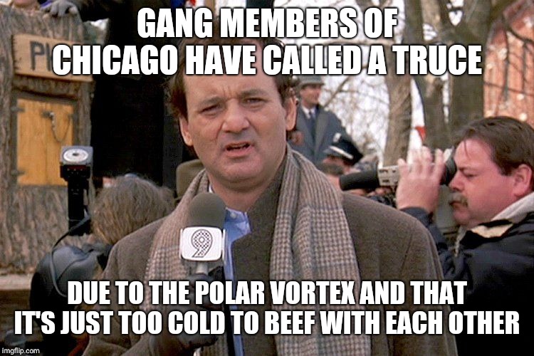 ground hog's dark and cold | GANG MEMBERS OF CHICAGO HAVE CALLED A TRUCE; DUE TO THE POLAR VORTEX AND THAT IT'S JUST TOO COLD TO BEEF WITH EACH OTHER | image tagged in ground hog's dark and cold | made w/ Imgflip meme maker