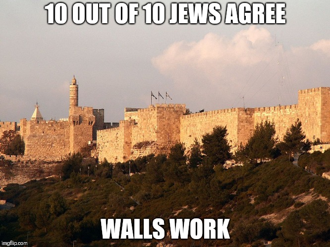 10 OUT OF 10 JEWS AGREE; WALLS WORK | image tagged in funny memes | made w/ Imgflip meme maker