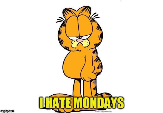 Grumpy Garfield | I HATE MONDAYS | image tagged in grumpy garfield | made w/ Imgflip meme maker