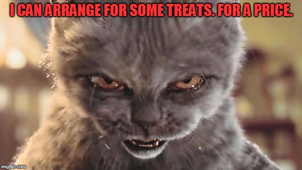 Evil Cat | I CAN ARRANGE FOR SOME TREATS. FOR A PRICE. | image tagged in evil cat | made w/ Imgflip meme maker