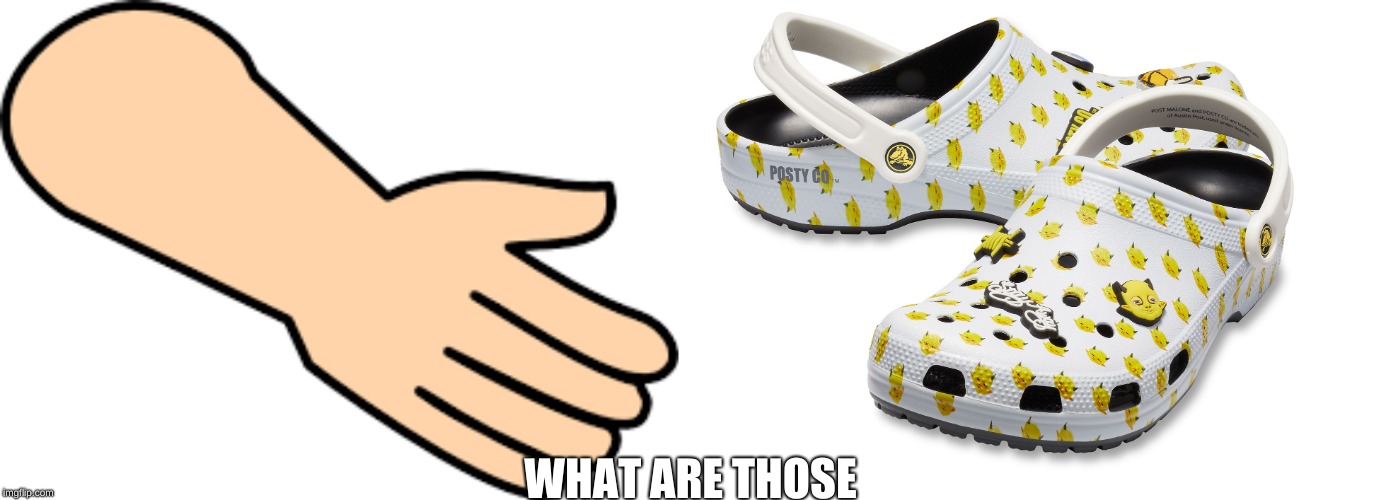 WWHAAAT AAAAAAARE THOOOOSE?! | WHAT ARE THOSE | image tagged in what are those,super funny,post malone crocs | made w/ Imgflip meme maker