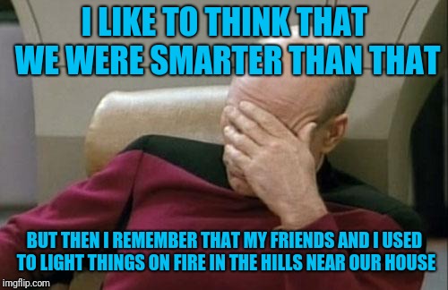 Captain Picard Facepalm Meme | I LIKE TO THINK THAT WE WERE SMARTER THAN THAT BUT THEN I REMEMBER THAT MY FRIENDS AND I USED TO LIGHT THINGS ON FIRE IN THE HILLS NEAR OUR  | image tagged in memes,captain picard facepalm | made w/ Imgflip meme maker