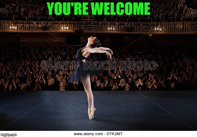 ballerina | YOU'RE WELCOME | image tagged in ballerina | made w/ Imgflip meme maker