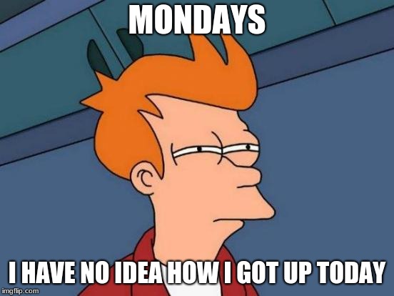 Futurama Fry Meme | MONDAYS I HAVE NO IDEA HOW I GOT UP TODAY | image tagged in memes,futurama fry | made w/ Imgflip meme maker