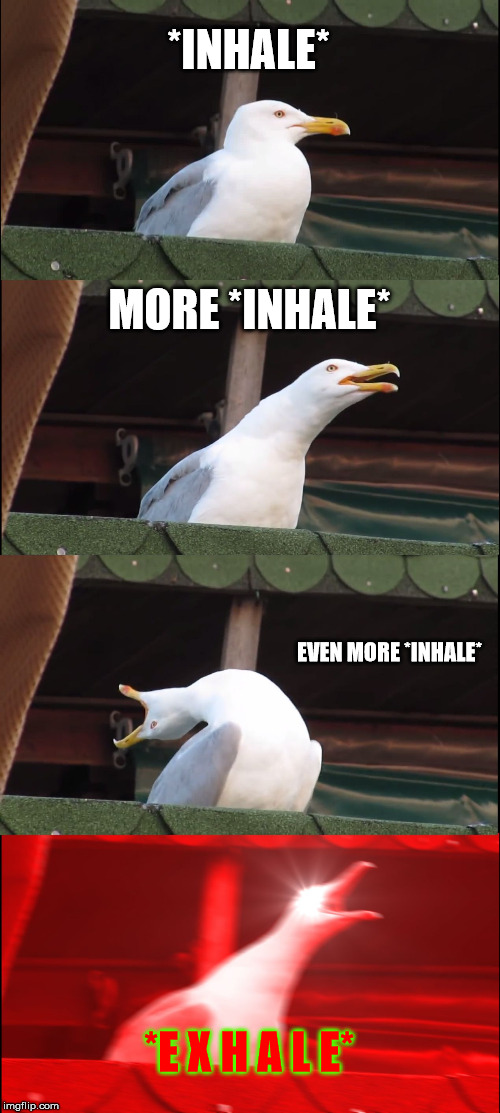 After losing a game of my little pony racing | *INHALE*; MORE *INHALE*; EVEN MORE *INHALE*; *E X H A L E* | image tagged in memes,inhaling seagull | made w/ Imgflip meme maker