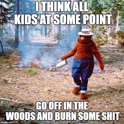 Smokey arsonist | I THINK ALL KIDS AT SOME POINT GO OFF IN THE WOODS AND BURN SOME SHIT | image tagged in smokey arsonist | made w/ Imgflip meme maker