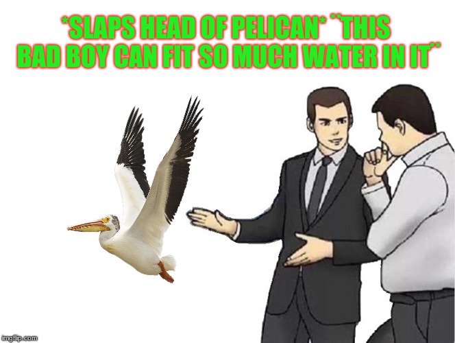 Bird Weekend February 1-3, a moemeobro, Claybourne, and 1forpeace event | *SLAPS HEAD OF PELICAN* ¨THIS BAD BOY CAN FIT SO MUCH WATER IN IT¨ | image tagged in pelican,1forpeace,claybourne,moemeobro,bird weekend,car salesman slaps hood | made w/ Imgflip meme maker