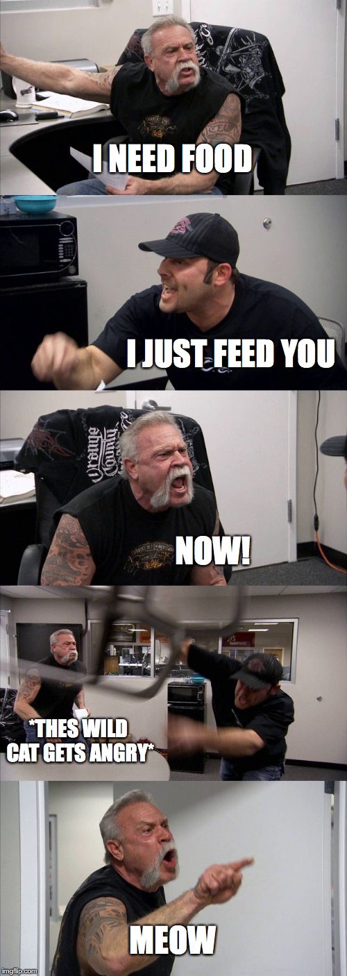 American Chopper Argument | I NEED FOOD; I JUST FEED YOU; NOW! *THES WILD CAT GETS ANGRY*; MEOW | image tagged in memes,american chopper argument | made w/ Imgflip meme maker